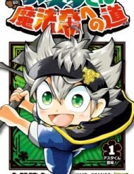 Astas Journey To Wizard King