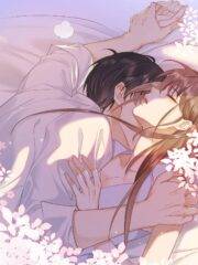 Lão đại Nghiện Sủng Cô Vợ Gả Thay Rồi!